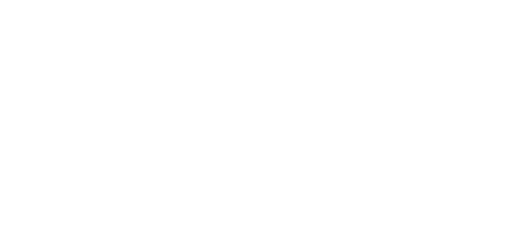 BrandVision.Design Logo