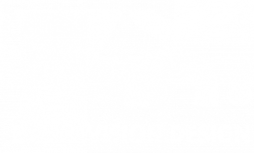 BrandVision.DESIGN LOGO